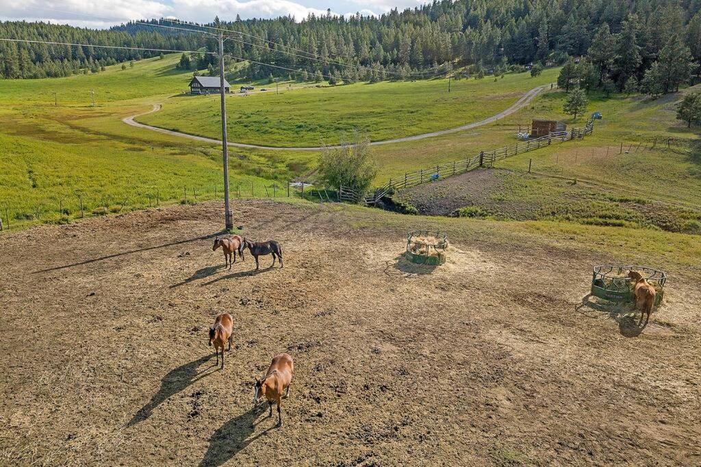 Wilderness Cabin - Eden Valley Oroville Buitenkant foto